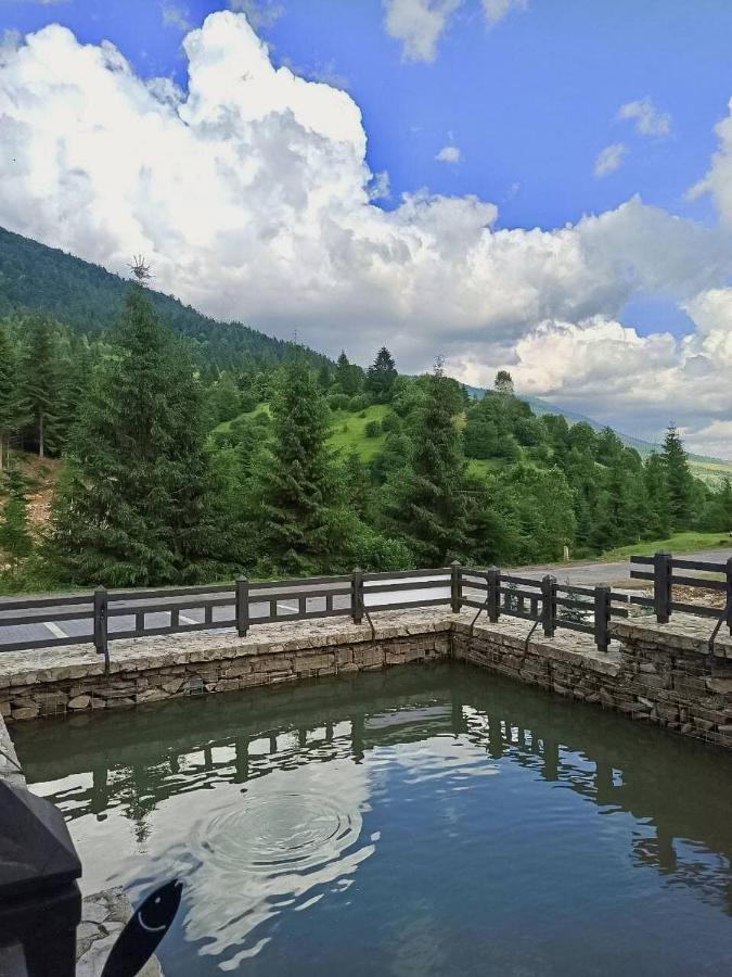 Chalet Carpat Dream Synevyr Exterior foto
