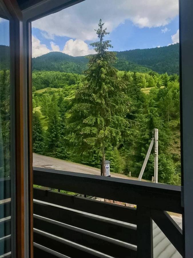Chalet Carpat Dream Synevyr Exterior foto